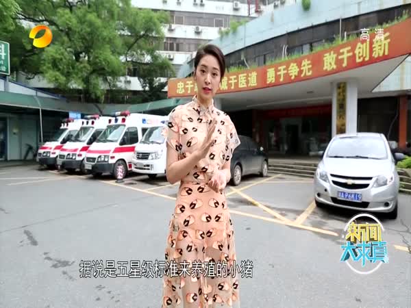 糖尿病能不能被治愈？